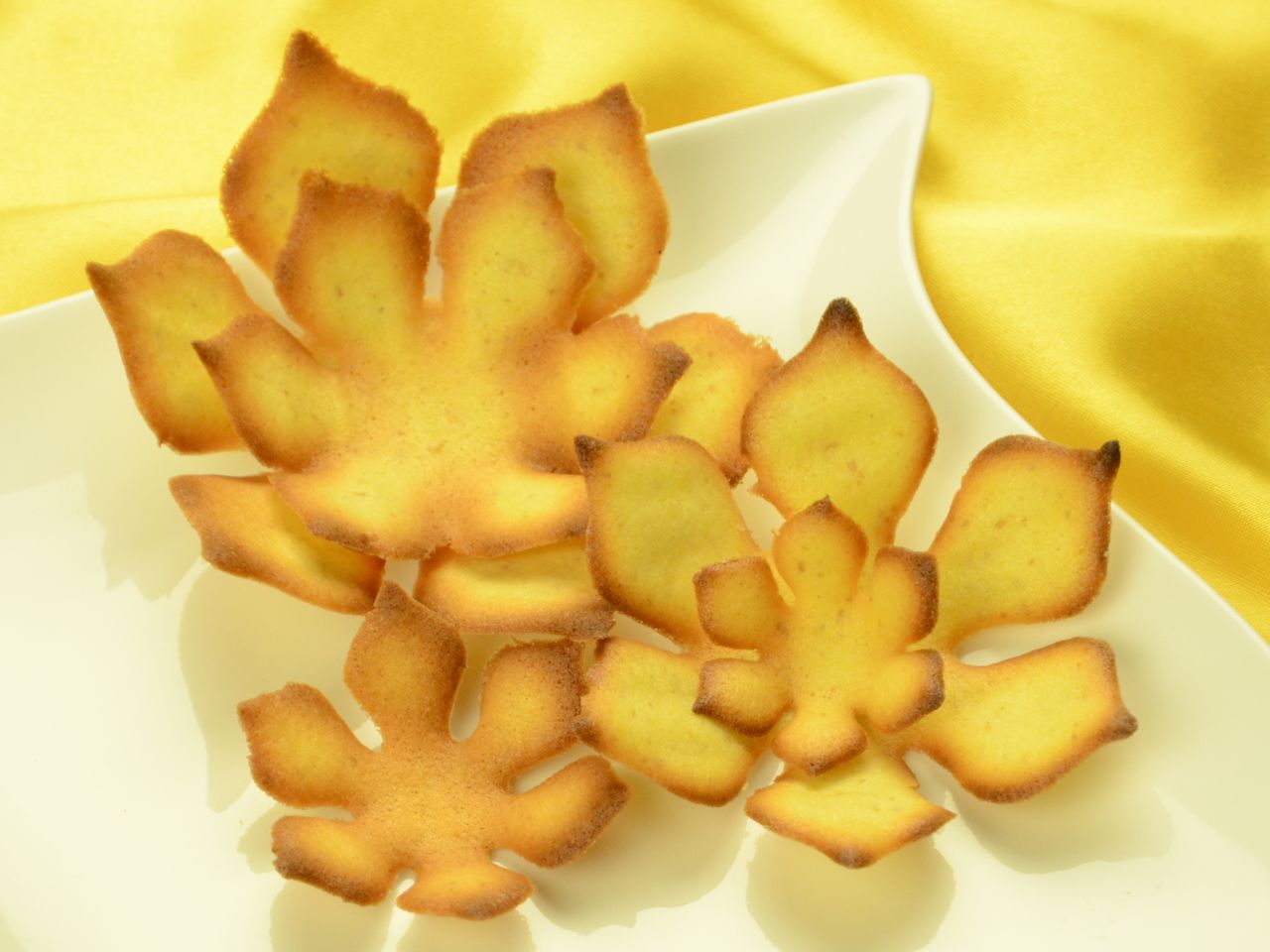 hippenschablonen magnolie 5 teilig