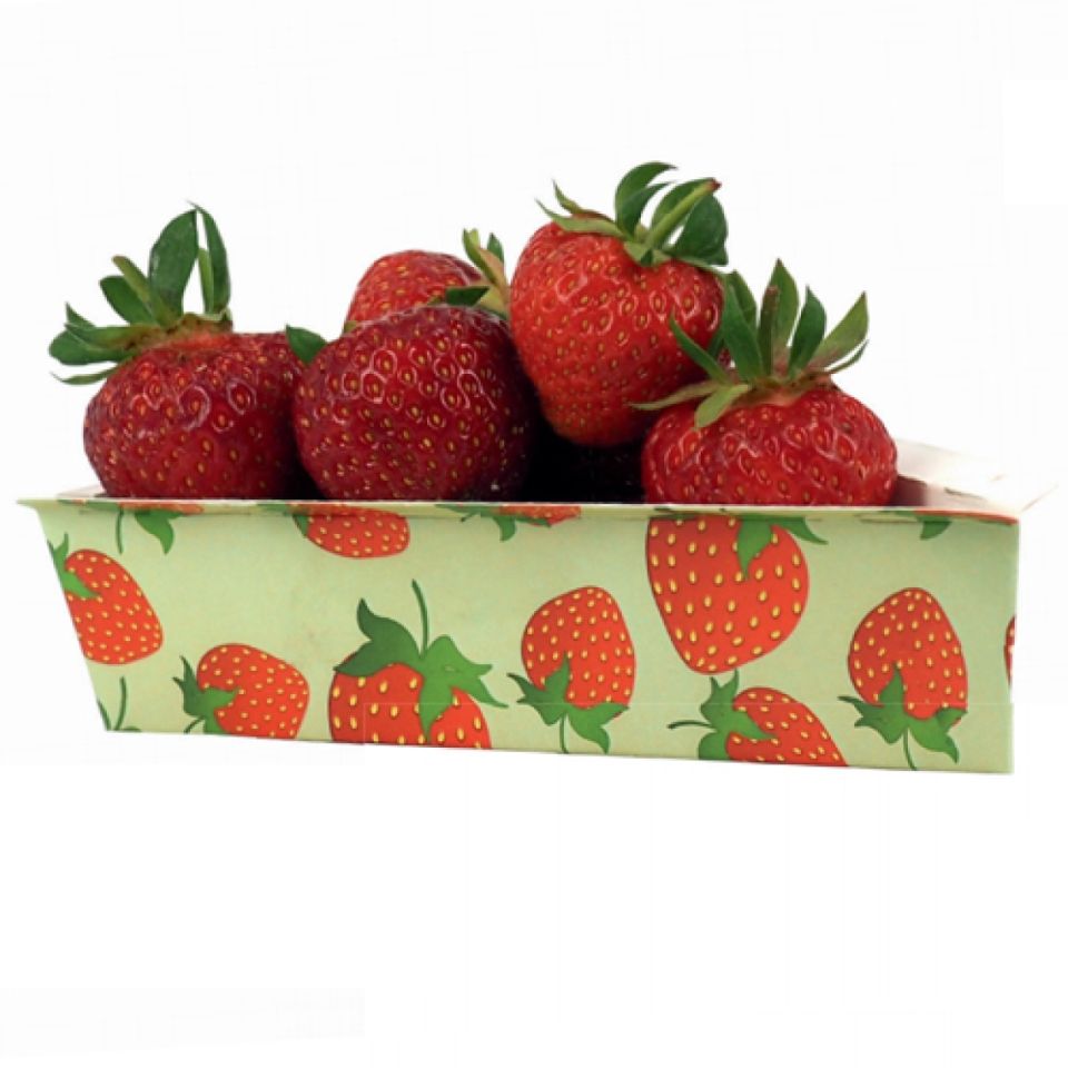 papier backformen tortenstueck gruen mit erdbeeren