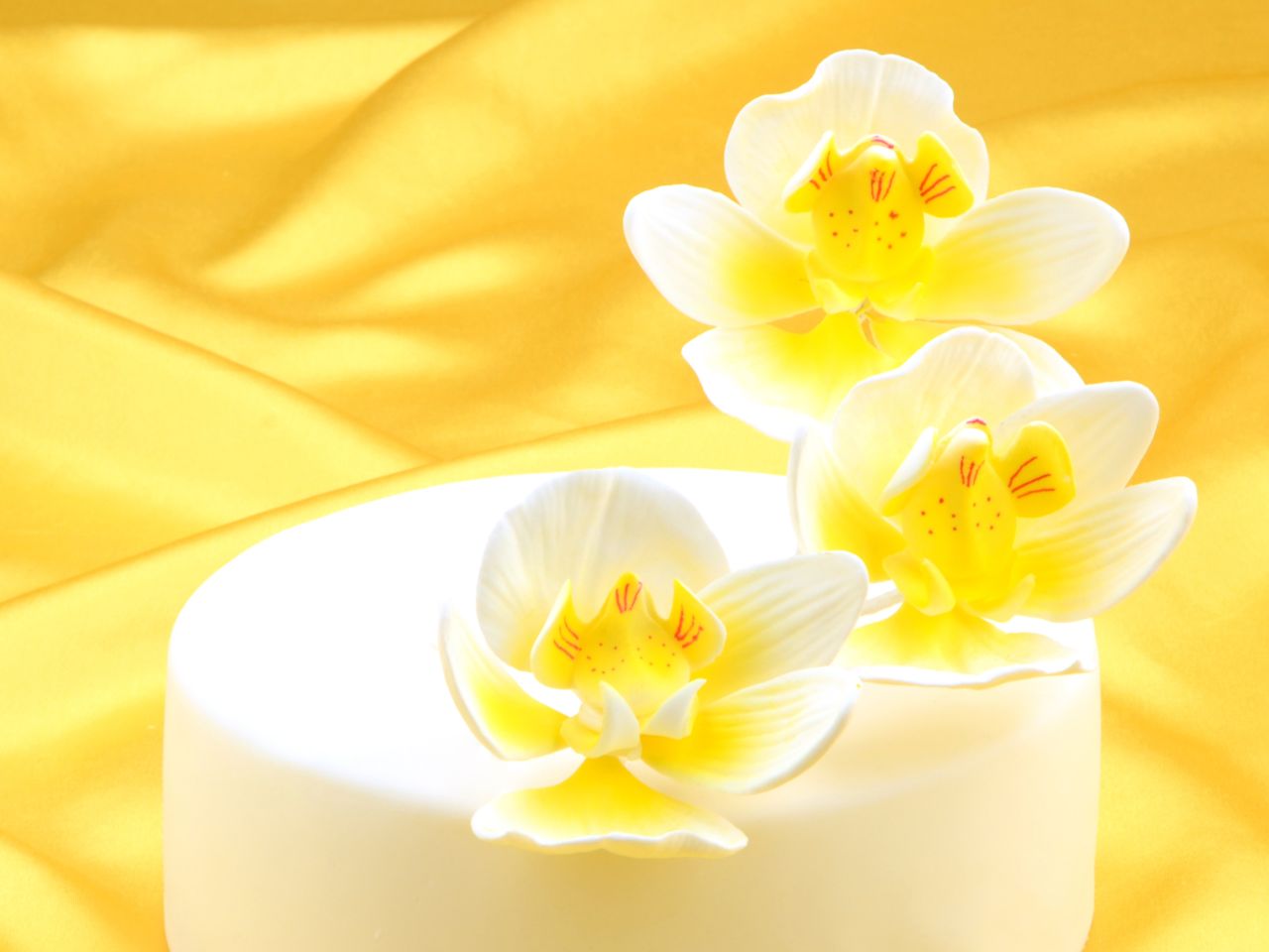 feinzucker blueten moth orchid 3er