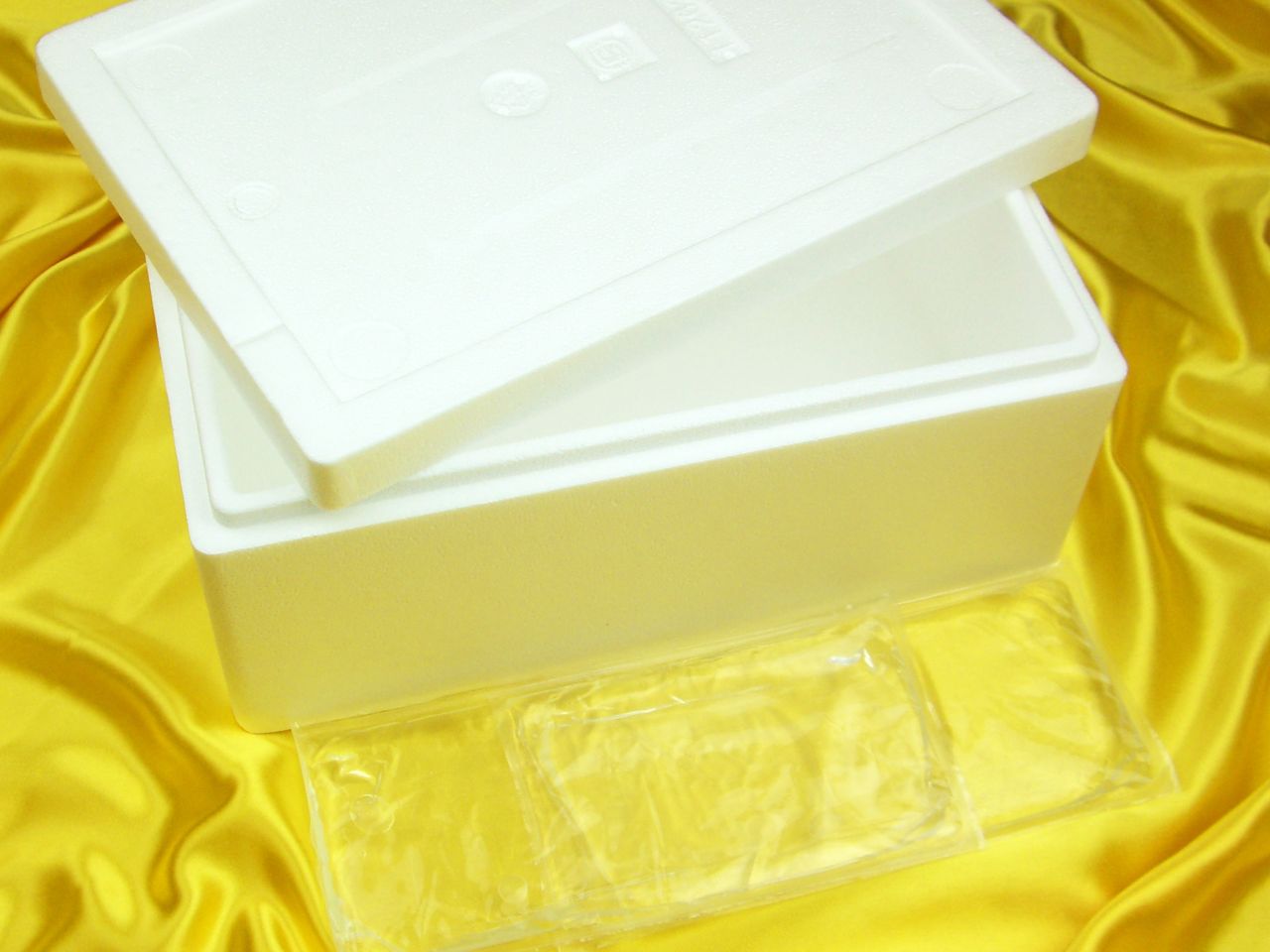 thermobox inkl kuehlakkus