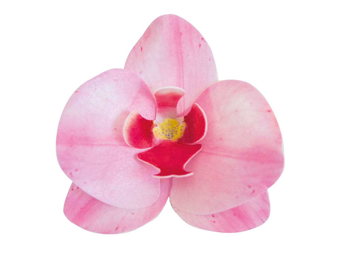 wafer paper orchidee pink 7 5 8 5cm 10 stueck