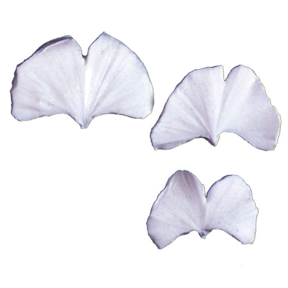 sk blaetter veiner fuer bluetenpaste ginkgo cupcakes deko 3er set