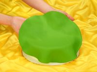 FunCakes Ready Rolled Fondant Disc Spring Green